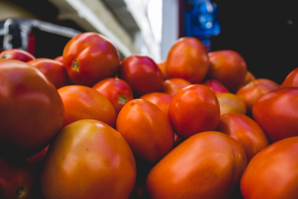exportaciones agroalimenticias
