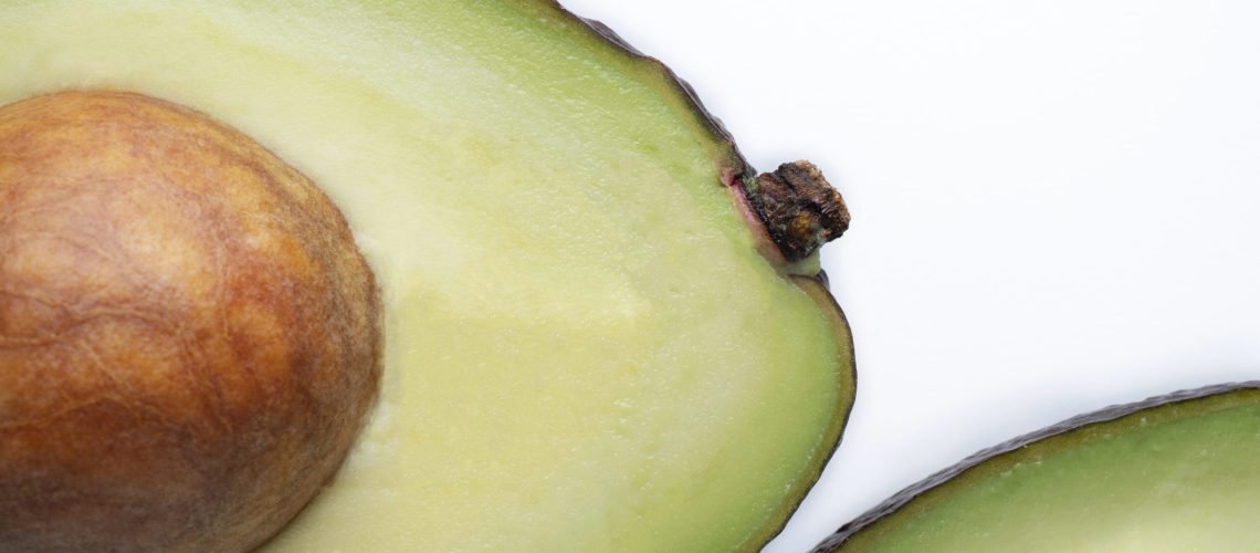 exportaciones de aguacate